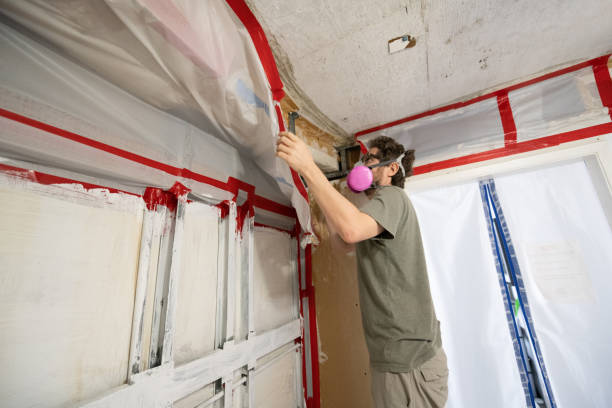 Professional Mold Removal in Mercer Island, WA