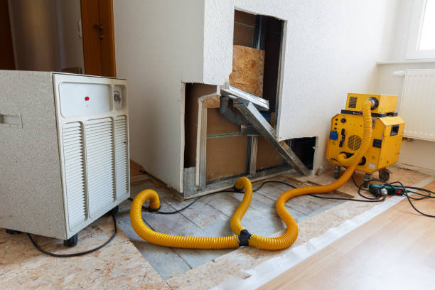 Best Environmental Consulting for Mold Prevention  in Mercer Island, WA